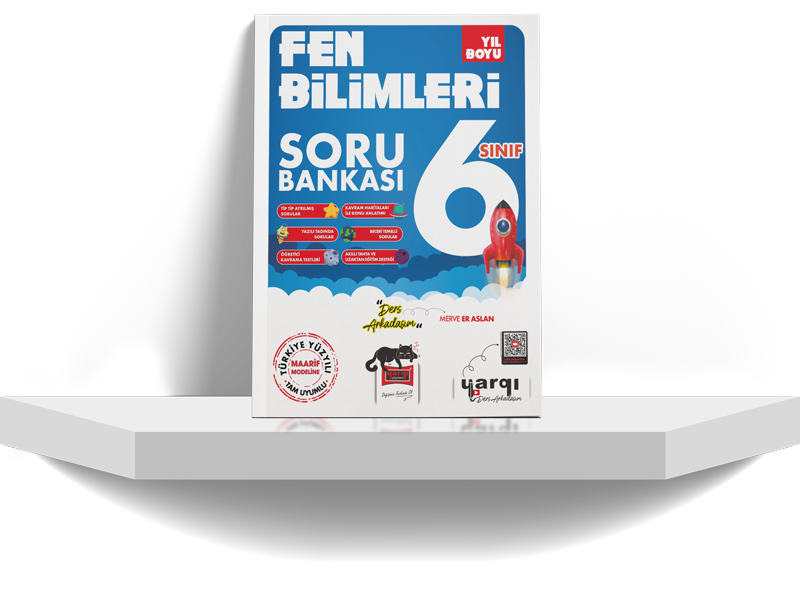 Yıl Boyu 6 Fen Bilimleri